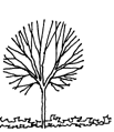 Logo Tree